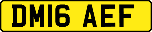 DM16AEF