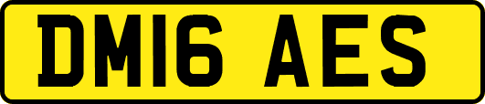 DM16AES