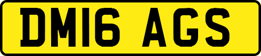 DM16AGS