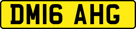DM16AHG