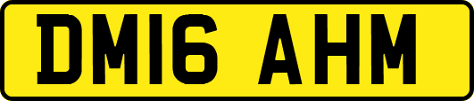 DM16AHM