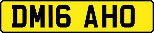 DM16AHO