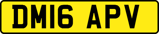 DM16APV