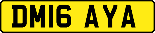 DM16AYA