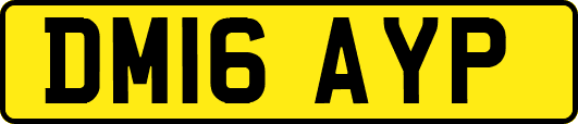 DM16AYP