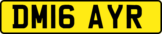 DM16AYR