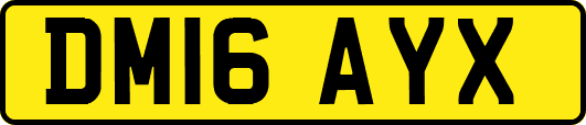 DM16AYX