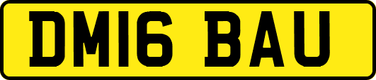 DM16BAU