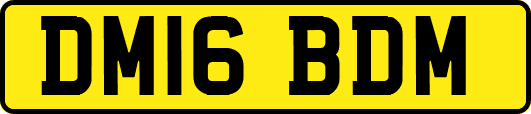 DM16BDM