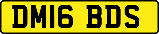 DM16BDS