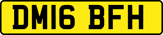 DM16BFH