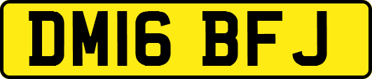DM16BFJ