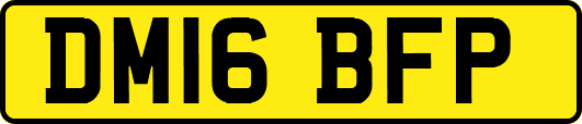 DM16BFP