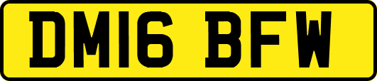 DM16BFW
