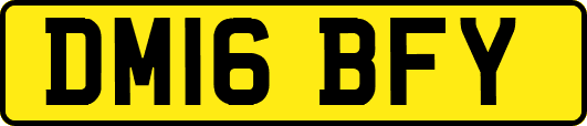 DM16BFY