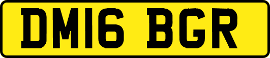 DM16BGR