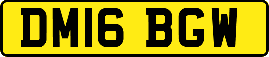 DM16BGW