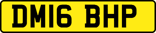 DM16BHP