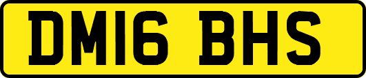 DM16BHS