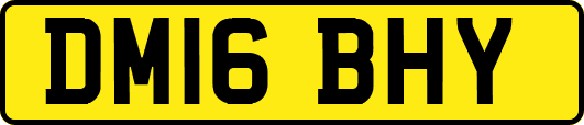DM16BHY