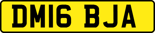 DM16BJA