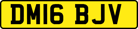 DM16BJV