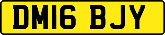 DM16BJY