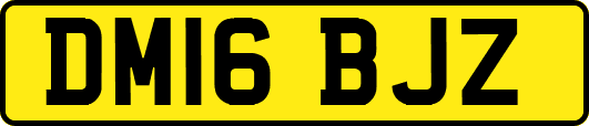 DM16BJZ