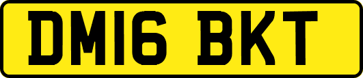 DM16BKT