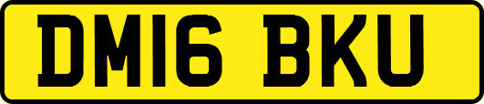 DM16BKU