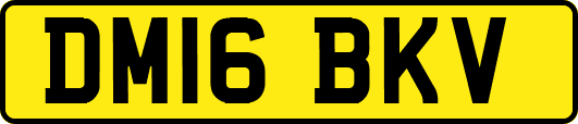 DM16BKV