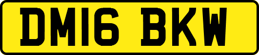 DM16BKW