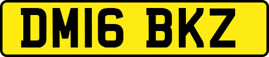 DM16BKZ