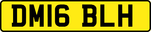 DM16BLH