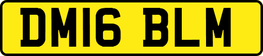 DM16BLM
