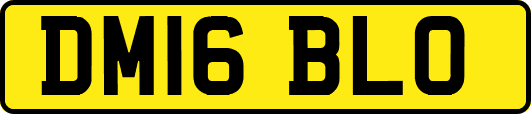 DM16BLO