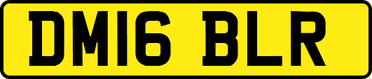 DM16BLR