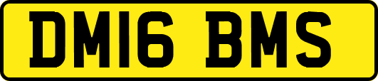 DM16BMS