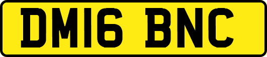 DM16BNC