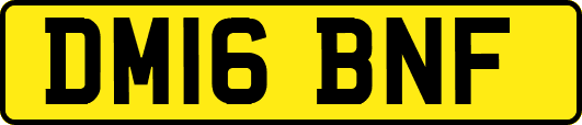 DM16BNF