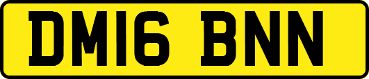 DM16BNN