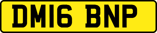 DM16BNP