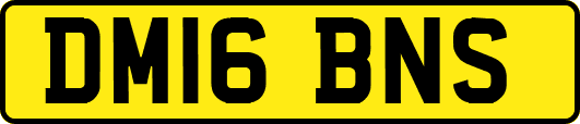 DM16BNS