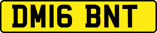 DM16BNT