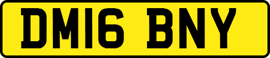DM16BNY