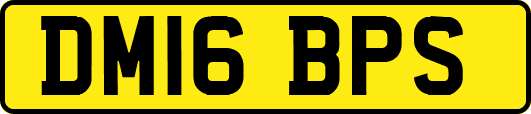 DM16BPS