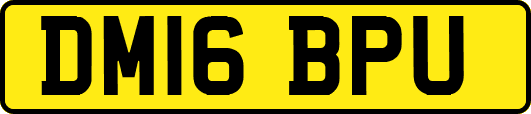 DM16BPU
