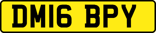 DM16BPY
