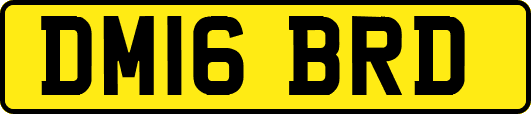 DM16BRD