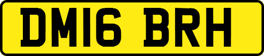 DM16BRH